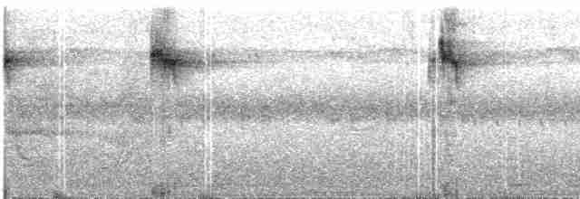  - Dimorphic Dwarf-Kingfisher