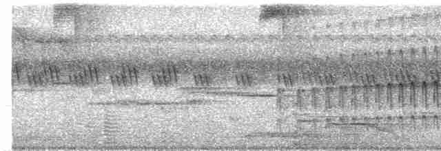 Сулуанский острокрылый дятел - ML609099623