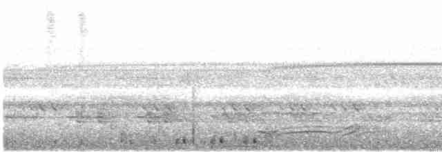 Сулуанская иглоногая сова - ML609099730