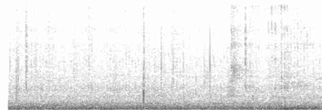 Оазисный колибри - ML609100030