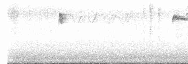 Uzun Kuyruklu Baştankara [europaeus grubu] - ML609104405