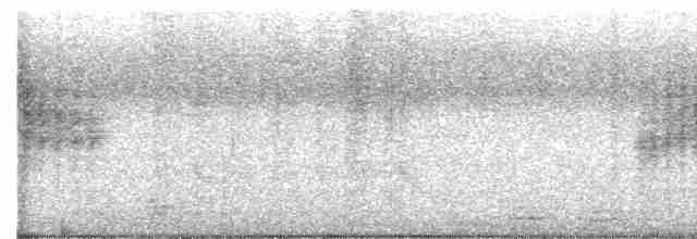 House Wren - ML609106553
