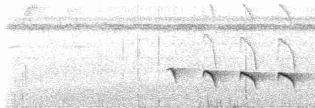 Kurzschwanz-Ameisenvogel - ML609113430