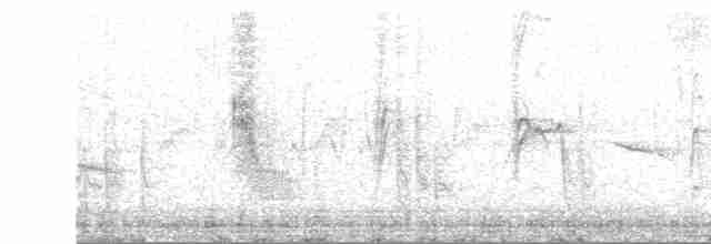 Weißbinden-Spottdrossel - ML609118321
