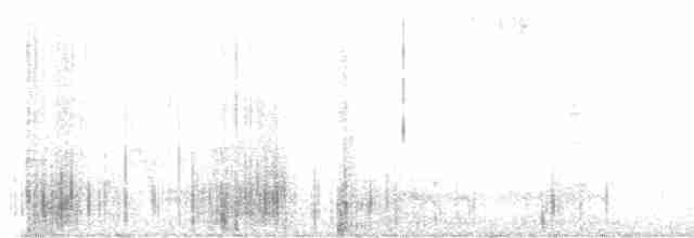 holub bledoprsý - ML609118807