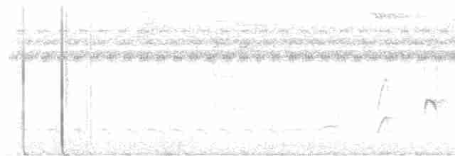 Каатинга плямистокрила [група boucardi] - ML609119033