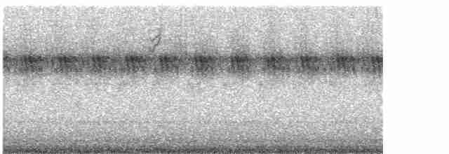 Paseriforme sp. - ML609119607