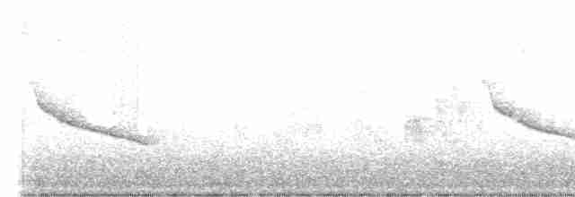 Чагарниця темноброва - ML609123301