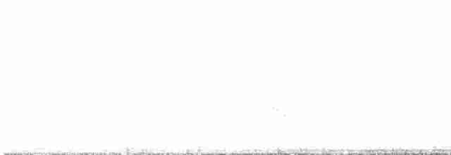 Austral-Schlangenhalsvogel - ML609125263