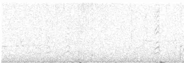 Белогорлая яху - ML609125521