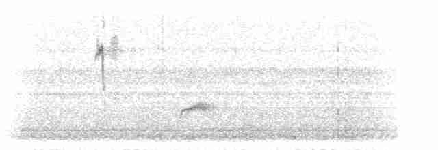 Дрізд-короткодзьоб Cвенсона - ML609128932