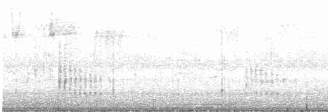 Поплітник каролінський - ML609131017