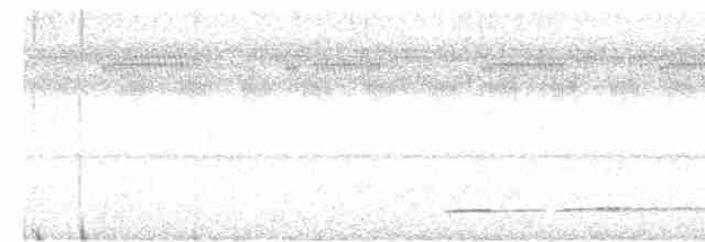 Undulated Tinamou - ML609132394