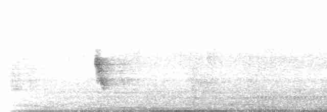 vrabec šedohlavý - ML609135133