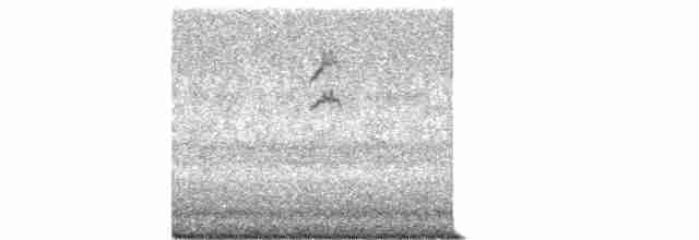 Spotted Flycatcher - ML609136394