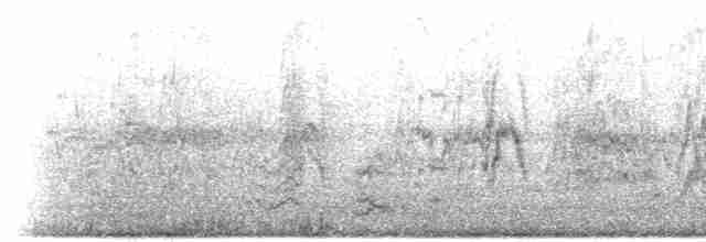 mníšek šedý (ssp. luchsi) - ML609148717