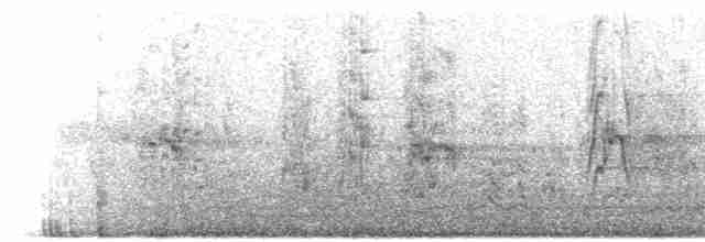 mníšek šedý (ssp. luchsi) - ML609148718