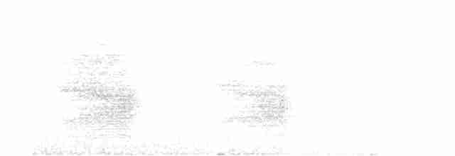 furuskrike (diademata gr.) - ML609148995