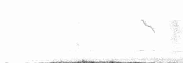 Шиподзьоб рудогузий - ML609156988