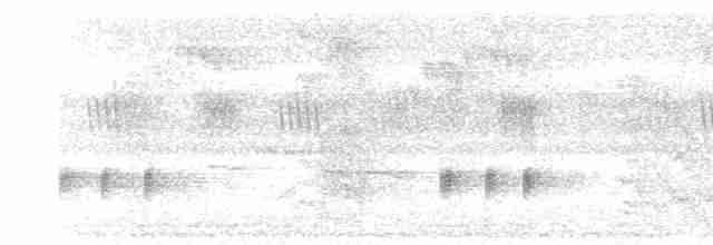 Turuncu Gagalı Yedikardeş - ML609162510