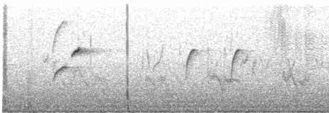 Batı Amerika Sinekkapanı (occidentalis/hellmayri) - ML609166888