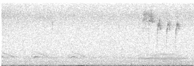 strnadec bělohrdlý - ML609176506