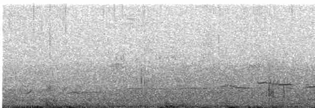 Дрізд чорний - ML609178981