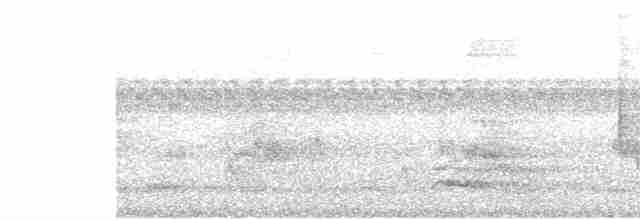 Сизойка блакитна - ML609179913