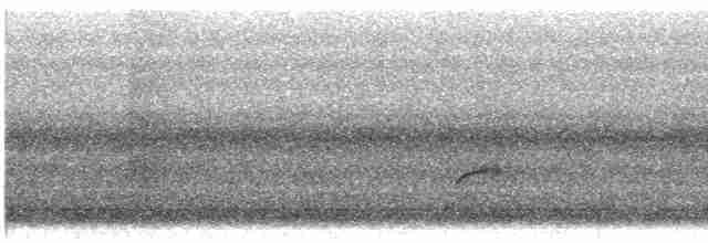 Дрізд-короткодзьоб Cвенсона - ML609186392