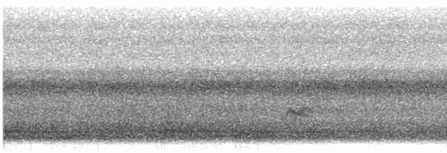 Catharus sp. - ML609187098