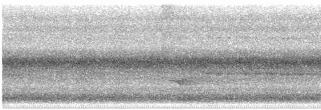 Catharus sp. - ML609187283