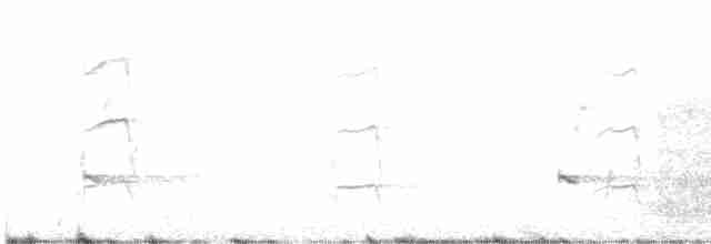 strakapoud hnědokřídlý - ML609196084