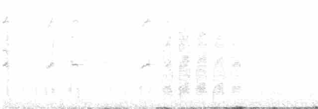 Arizona Woodpecker - ML609196086