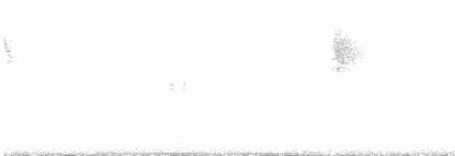 Gray Wagtail - ML609200502