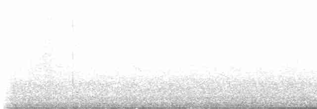 Troglodyte montagnard - ML609201259