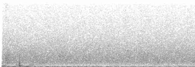 Gray Wagtail - ML609206028