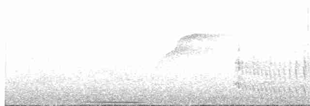 Ошейниковый трогон - ML609209124