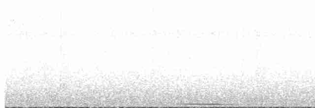 holub bělohrdlý - ML609209140