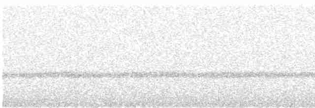 Гагара полярна - ML609212114