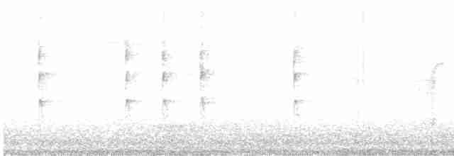 Troglodyte des forêts - ML609216157