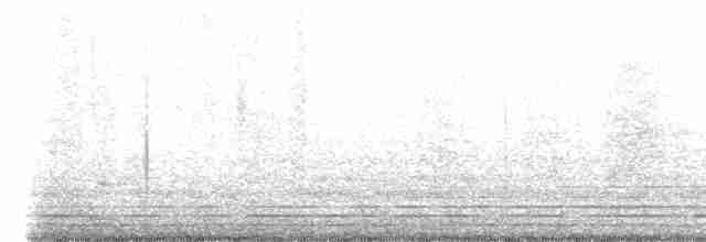 Chalk-browed Mockingbird - ML609220047
