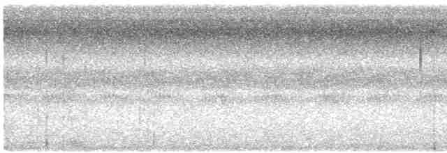 Поплітник каролінський - ML609221293