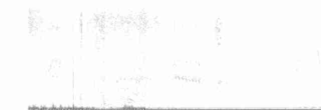 Лінивка-смугохвіст плямистобока - ML609222697