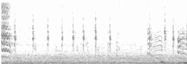 Grass Wren (Austral) - ML609223106
