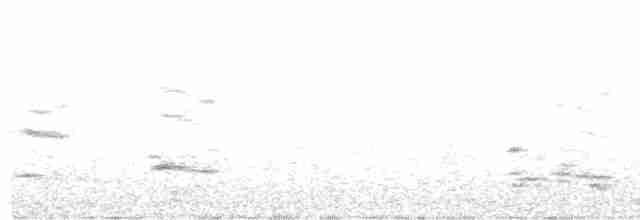 Краснолобая лысуха - ML609223577