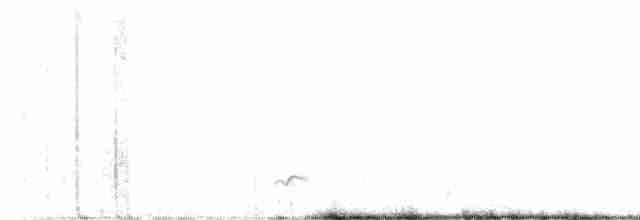 Elegant Crested-Tinamou - ML609224824