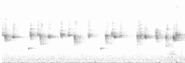 Beyaz Gerdanlı Dalkoşarı - ML609232030