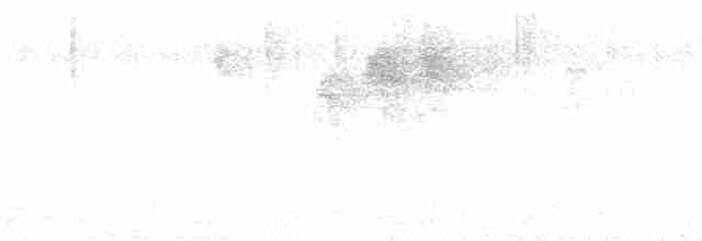 Steller Kargası [stelleri grubu] - ML609234473