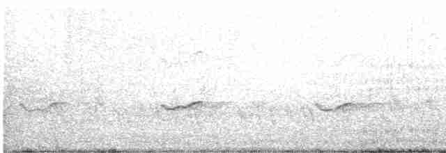 Gray-tailed Tattler - ML609236167