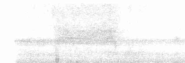 sova temná (ssp. tenebricosa/arfaki) - ML609236476